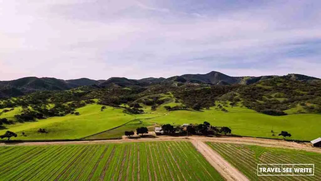 On the way from Monterey to Paso Robles, California