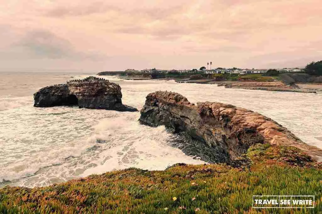 Natural Bridges State Park & Beach, a part of the 3-mile drive of Santa Cruz, California. 