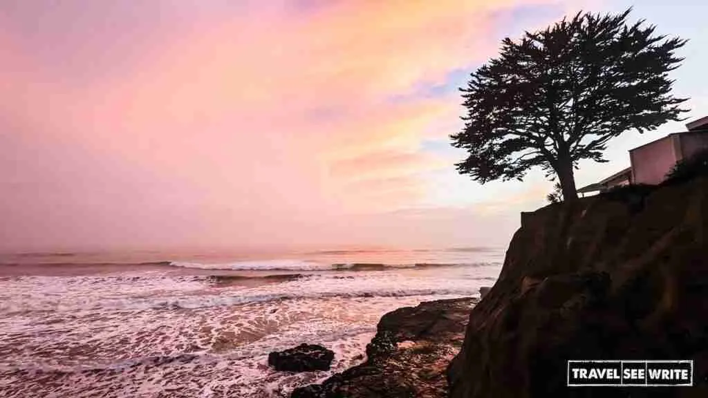 Central Coast is one of the most beautiful and underrated road trip destination in Claifornia
