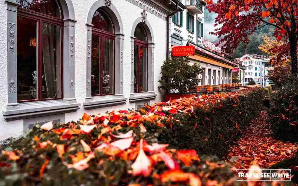 Restaurant Tvaern serves great Swiss and International cuisine.