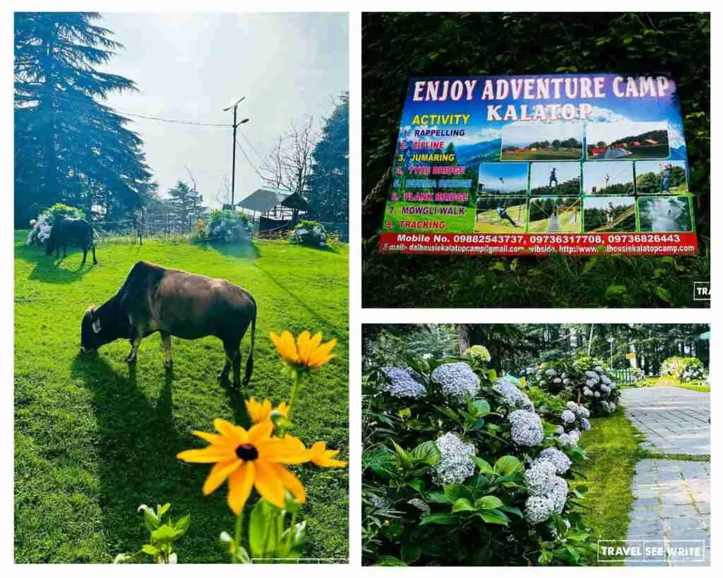 You can try different adventure activities at Kalatop Wildlife Sanctuary