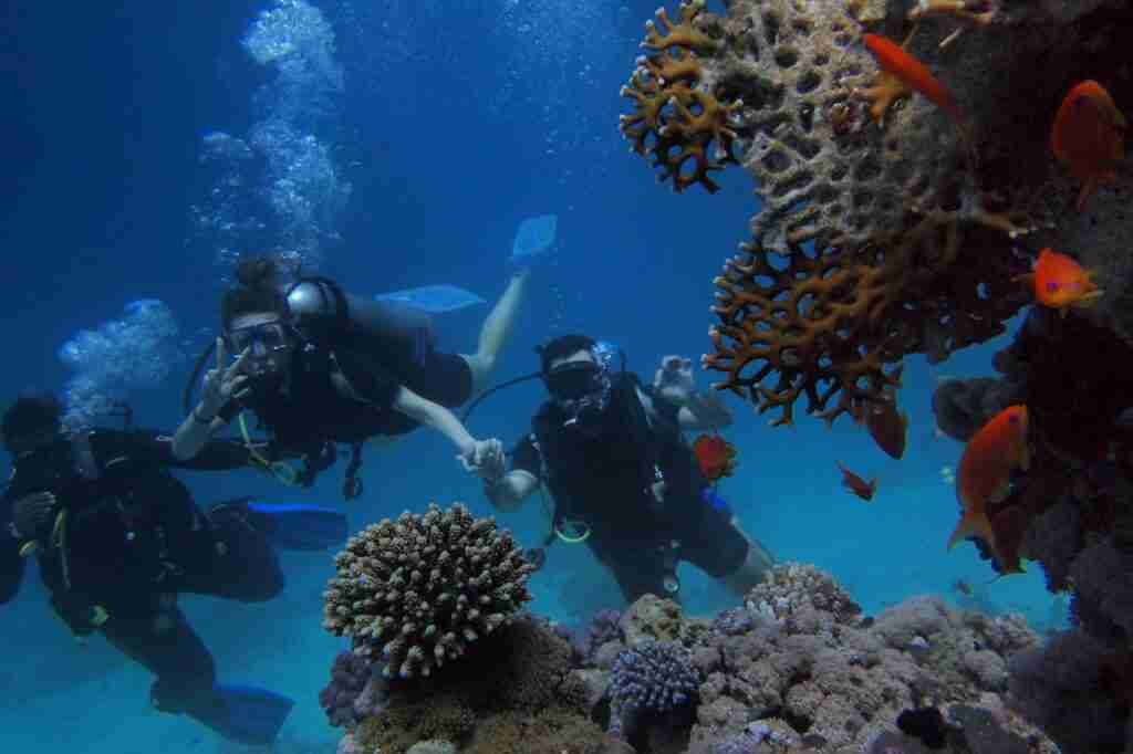 Red Sea Coast is one of the best places to enjoy the stunning marine life of Egypt.