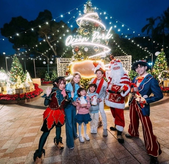 Christmas & New Year Holidays