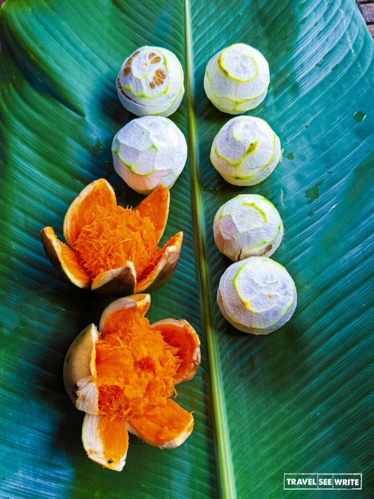 Sapote grows abundantly in Central America