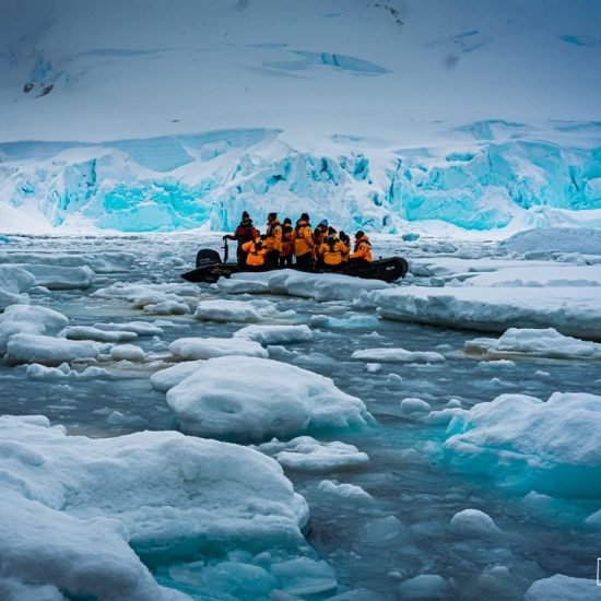 Arctic: The Final Frontier
