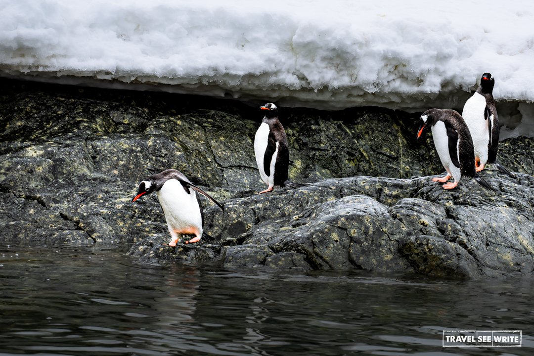 Antarctica: The Polar Regions