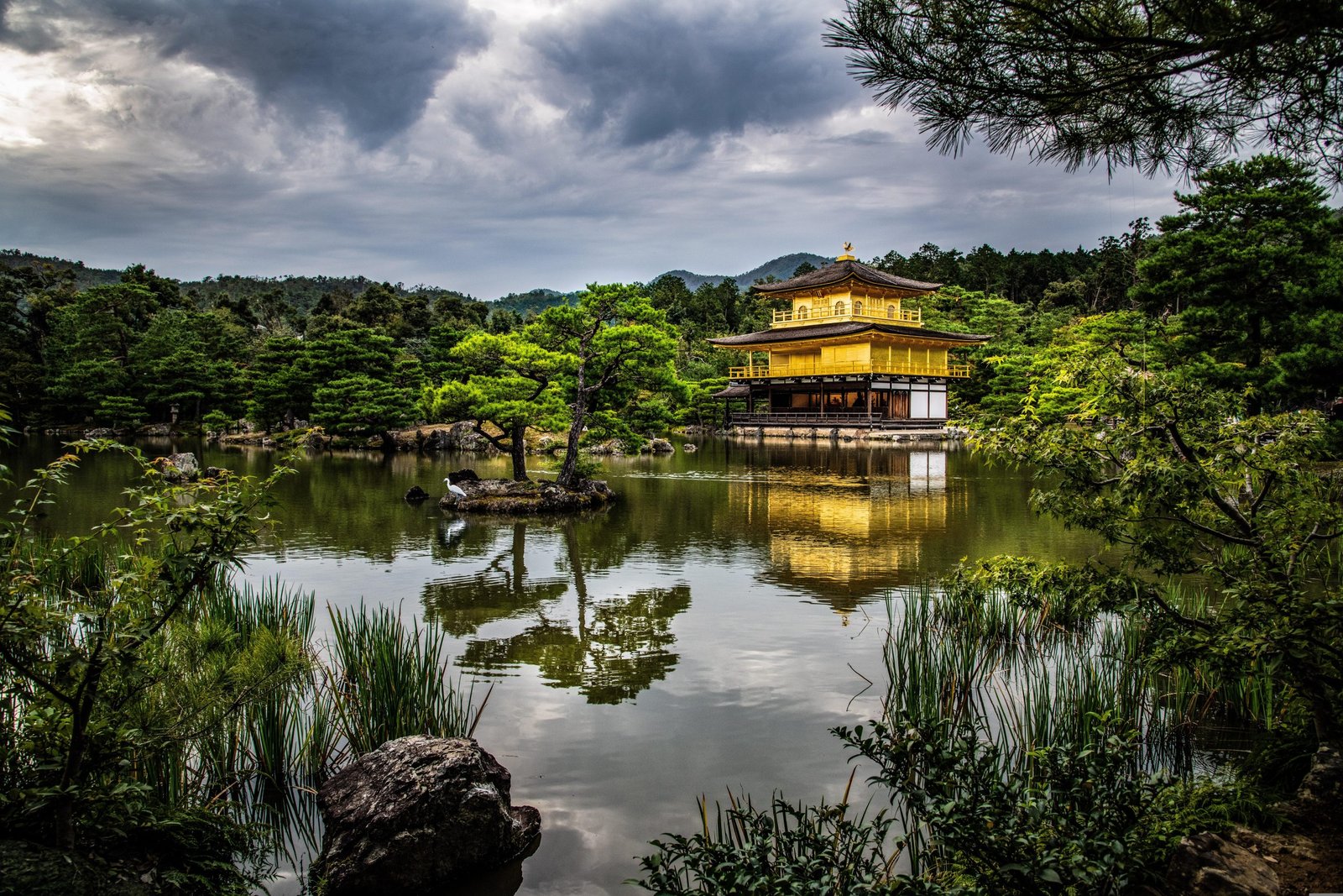 Asia: The Ancient Pulse