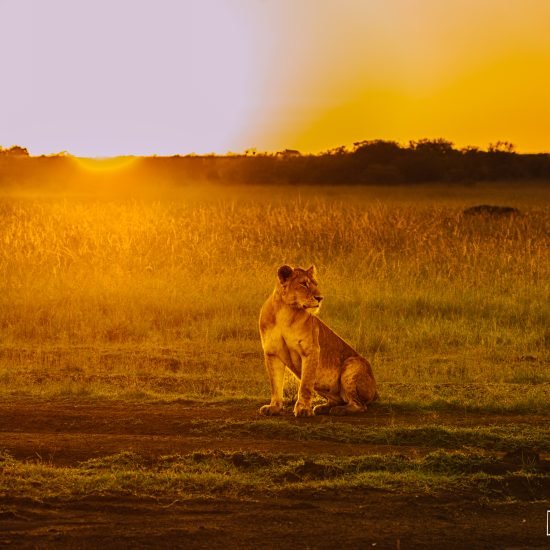 South Africa