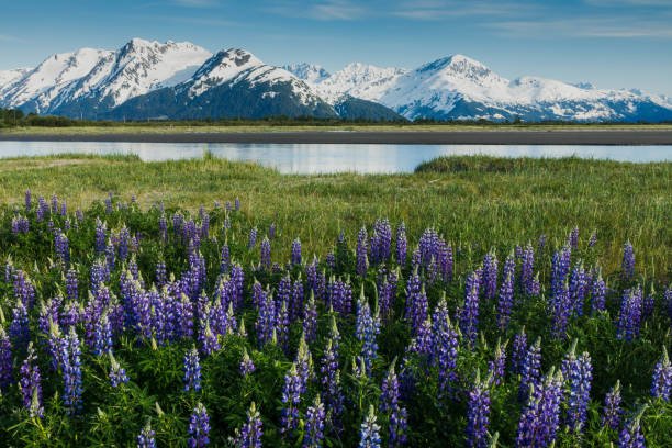Luxury Holidays in Alaska