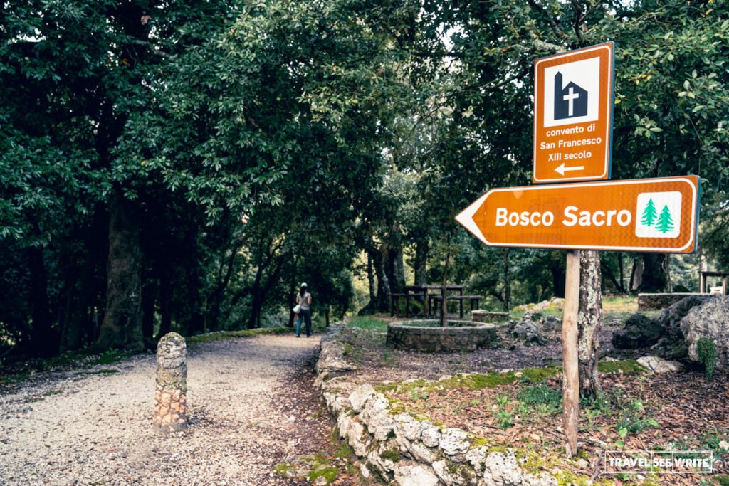 Nestled high above Spoleto, the Sacred Forest of Monteluco is an ancient ilex oak grove and spiritual sanctuary that is home to a historic Franciscan convent.